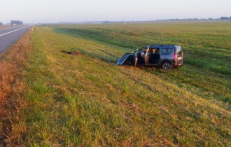 Фото: В Жлобинском районе «Лада Ларгус» столкнулась с лосем