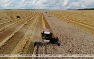 Фото: Зерновые и зернобобовые культуры в Беларуси убраны с половины площадей