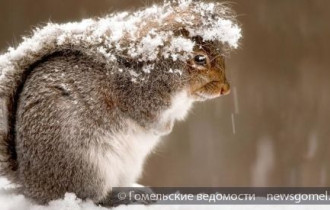 Фото: К концу недели в Беларуси потеплеет