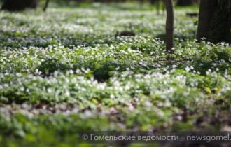 Фото: Погода в конце марта будет теплее обычного