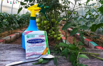 Фото: уДАЧНЫЕ СОТКИ: как фитоспорин может навредить растениям