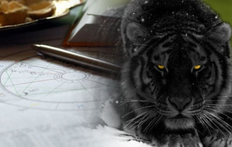Фото: Черный Тигр подарит большую удачу: астрологи назвали главных счастливчиков 2022 года