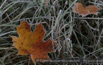 Фото: В Беларуси к концу недели существенно похолодает 