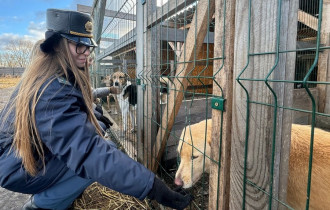 Фото: Гомельские таможенники передали угощения приюту для животных «Лапки»