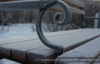 Фото: Теплая погода сохранится в Беларуси до Нового года