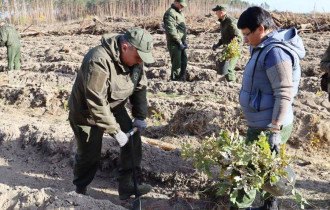 Фото: Министр обороны Виктор Хренин присоединился к акции "Дай лесу новае жыццё!"