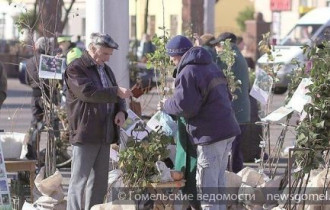 Фото:  Ярмарки выходного дня по продаже сельскохозпродукции