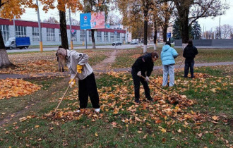 Фото: Семейное дерево и частичка тепла: учащиеся Гомельского колледжа кулинарии на осеннем субботнике