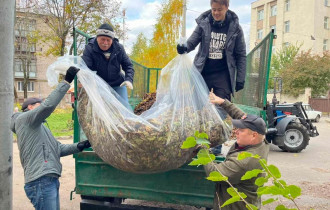 Фото:  В Центральном районе убирают листву