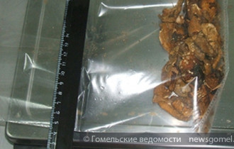 Фото: Гомельские таможенники изъяли у россиянина грибы с марихуаной 