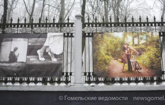 Фото: Фотографы Гомеля украсили забор парка и рассказали о себе