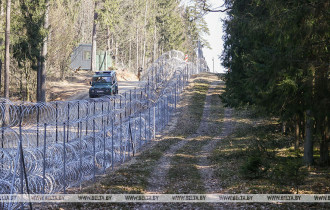 Фото: Зубры на дорогах, волки в деревнях. Эколог о последствиях строительства забора на польской границе