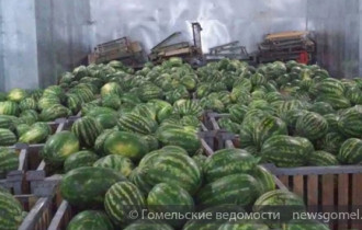 Фото: Гомельские таможенники изъяли около 20 тонн арбузов 