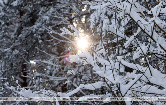 Фото: Метель, гололедица и ночные морозы до -12°С. Синоптики о погоде с 27 января по 1 февраля