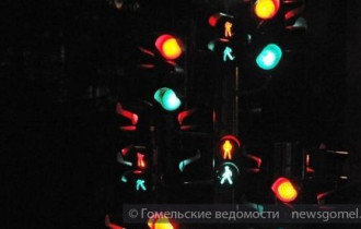 Фото: В Гомеле засияло светофорное дерево