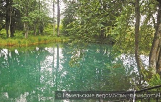 Фото: За чистой водой на "Голубую криницу"