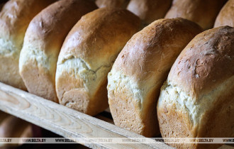 Фото: В Польше хлеб подорожал на четверть из-за роста цен на зерно