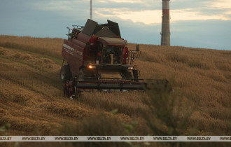 Фото: В Беларуси намолотили более 3,8 млн тонн зерна