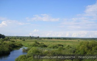 Фото: В понедельник в Беларусь возвращается аномальная жара