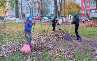 Фото: На Сельмаше продолжается месячник по благоустройству