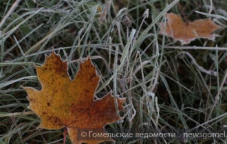 Фото: К середине ноября в Беларуси похолодает