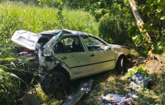 Фото: В Петриковском районе машина врезалась в дерево, пострадала четырехлетняя пассажирка