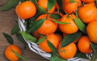 Фото: Не запах, а цвет и форма: как выбрать вкусные мандарины