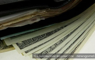 Фото: Белорусы в мае увеличили покупку валюты