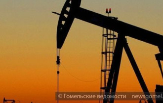 Фото: В «Белоруснефть» прошла защита эквадорского проекта