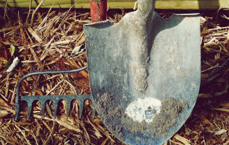 Фото: Шпаргалка садоводу: как подготовиться к осени