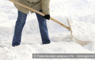 Фото: Гомельская городская организация ОО «БРСМ» проводит акцию «Чистый двор»