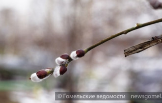 Фото: Потепление в Беларуси ожидается только к выходным