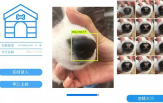 Фото: Китайское приложение найдет собаку по "отпечаткам" носа