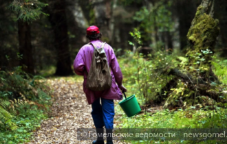 Фото: Гомельские пограничники помогли гомельчанке найти в лесу отца-грибника