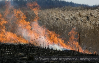 Фото: В области из-за возгорания торфяников повреждено около 100 га