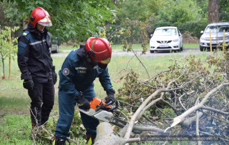 Фото: На территории областной больницы упавшие деревья продолжают убирать спасатели МЧС
