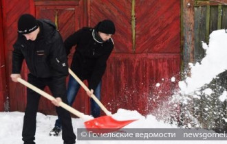 Фото: В Гомеле продолжается акция "Чистый двор"