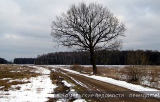 Фото: Беларусь встретит Рождество без крепких морозов и снега