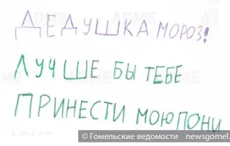 Фото: "Гомельские ведомости" исполнят ваше новогоднее желание