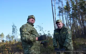 Фото: Гомельские пограничники приняли участие в акции «Дай лесу новае жыццё!»