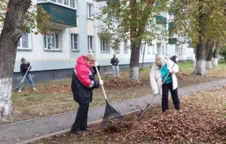 Фото: Сельмаш участвует в акции по посадке саженцев