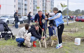 Фото: В Советском районе Гомеля проходит общегородская акция «Посади семейное дерево» 