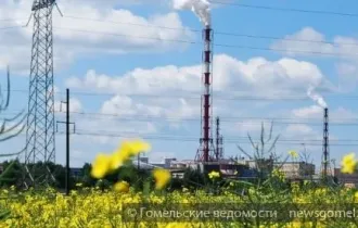 Фото: Экологическая почта "ГВ"