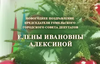 Фото: Новогоднее поздравление председателя Гомельского городского Совета депутатов Елены Алексиной