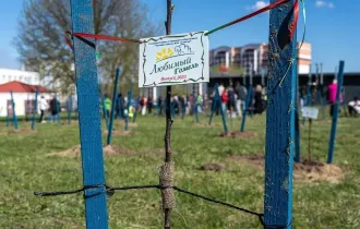 Фото:  В Гомеле появился яблоневый сад выпускников