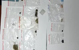 Фото: Гомельские таможенники установили три факта хранения запрещенных веществ