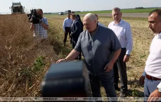 Фото: Александр Лукашенко об уборочной: надо посмотреть с тактикой, сейчас уже не по стратегии вопрос