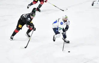 Фото: Хоккеисты «Гомеля» завершили регулярный сезон экстралиги поражением