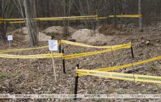 Фото: Останки 50 человек обнаружили за время весенних раскопок в Ченковском лесу под Гомелем