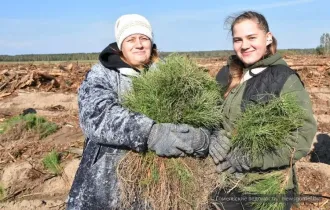 Фото: Около 100 тысяч сосёнок и берёзок высажены жителями Гомеля и Жлобина